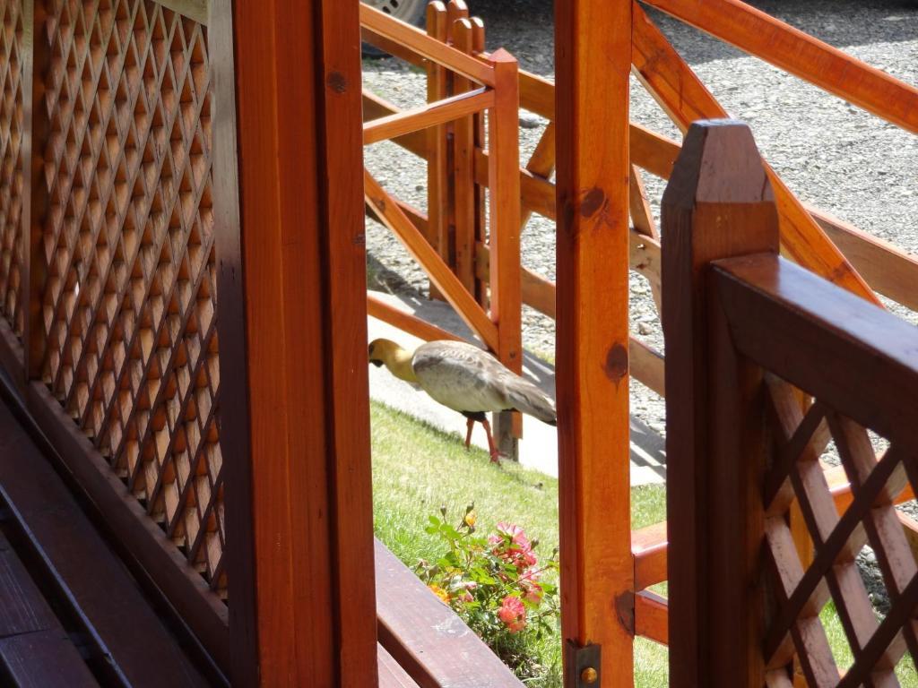 Cabanas De Nene Aparts El Calafate Exterior foto